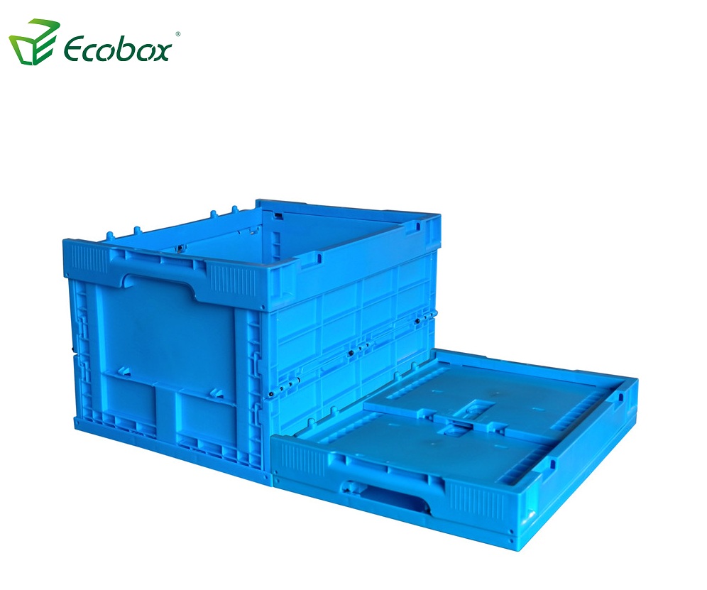 ECOBOX 40x30x24cm Kleine Größe PP-Material-zusammenklappbarer Faltkunststoffbehälter