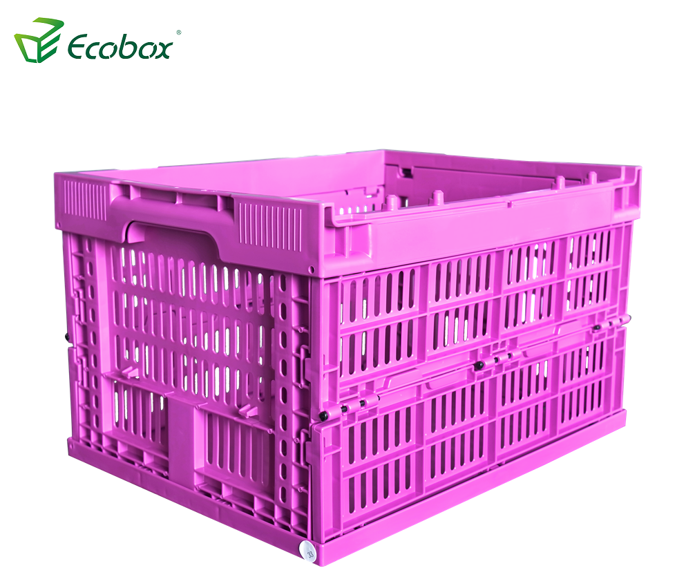 Ecobox wiederverwendbarer Kunststoff-Falt-Umzugskarton für den Transport lila