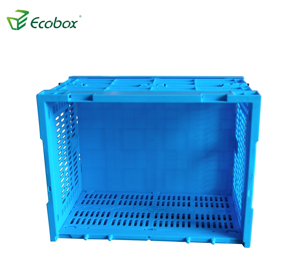 Ecobox Wiederverwendbarer Kunststoff-Faltschachtel für den Transport
