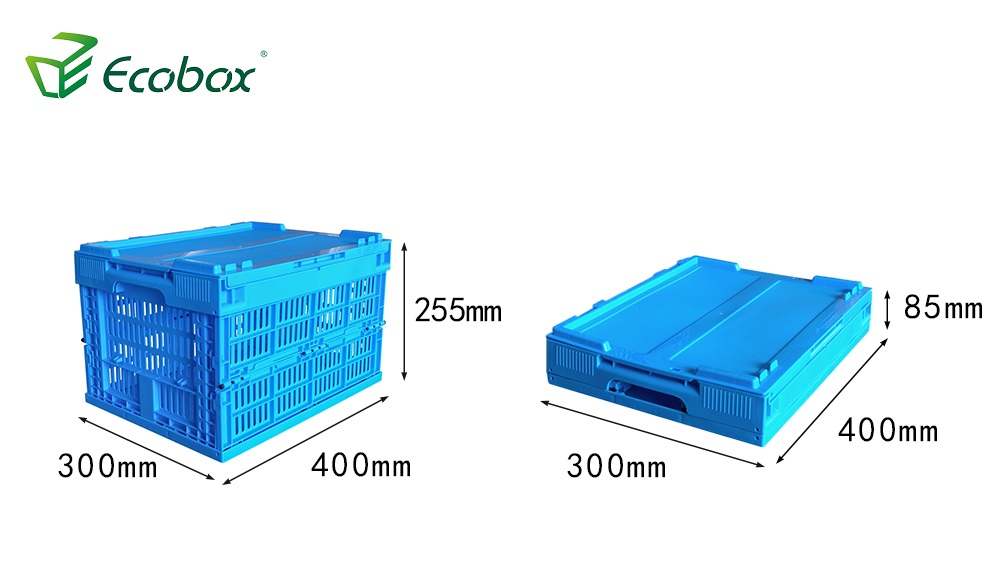 Ecobox Blue Color Faltende zusammenklappbare Campingbox